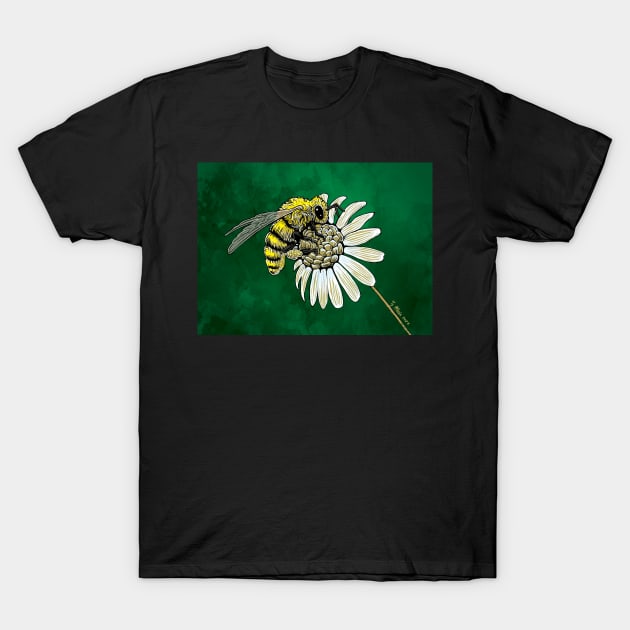 Honeybee Collecting Pollen from a Daisy T-Shirt by SunnyDaysNH